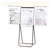 �t���b�v�`���[�g(10270019)