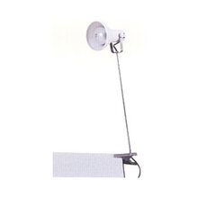 �A�[�����C�g(A03390029)