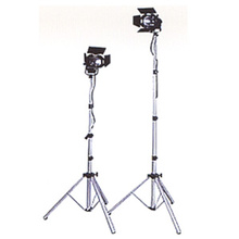 �q�f�I���C�g(A01190020)