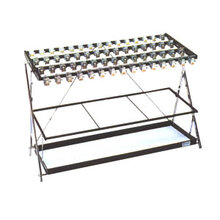 �P���āi60�{���t�j(16300174)