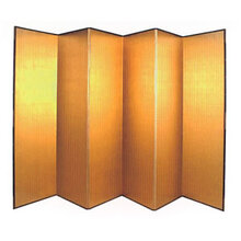 ������(A09300007)